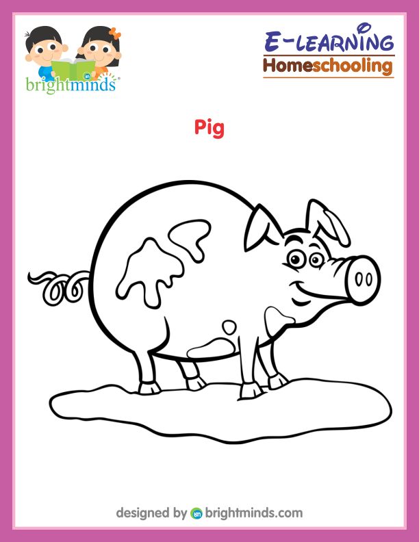 Pig Coloring Sheet