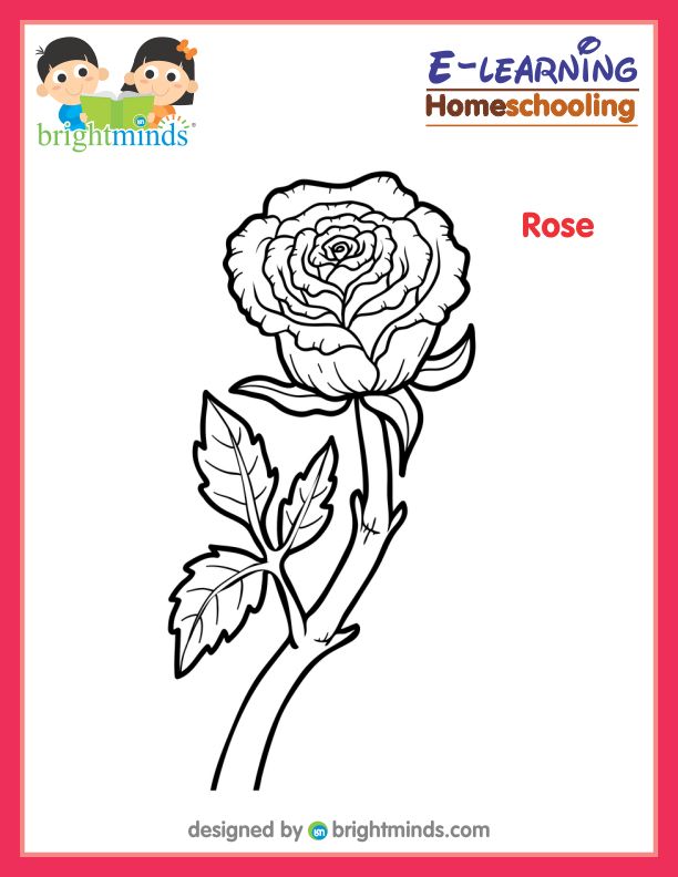 Rose Coloring Sheet