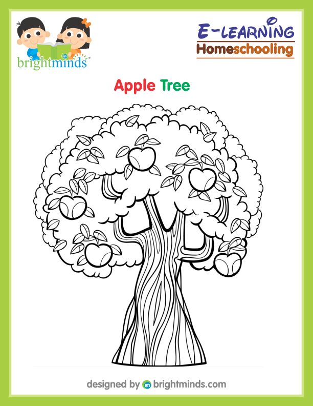 Apple Tree Coloring Sheet
