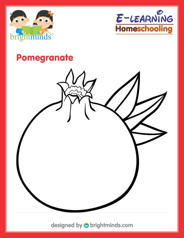 Pomegranate Coloring Sheet