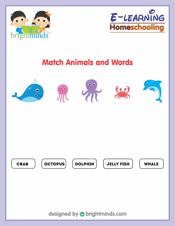 Match Animals and Words