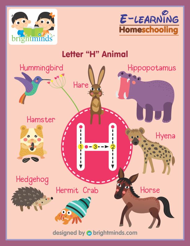 Letter H Animal