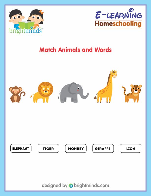 Match Animals and words