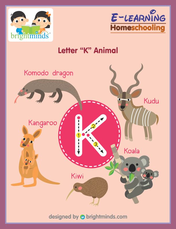 Letter K Animal