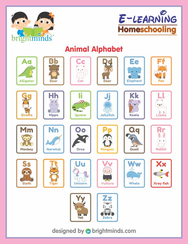Learning Alphabet : Bright Minds eLearning Platform