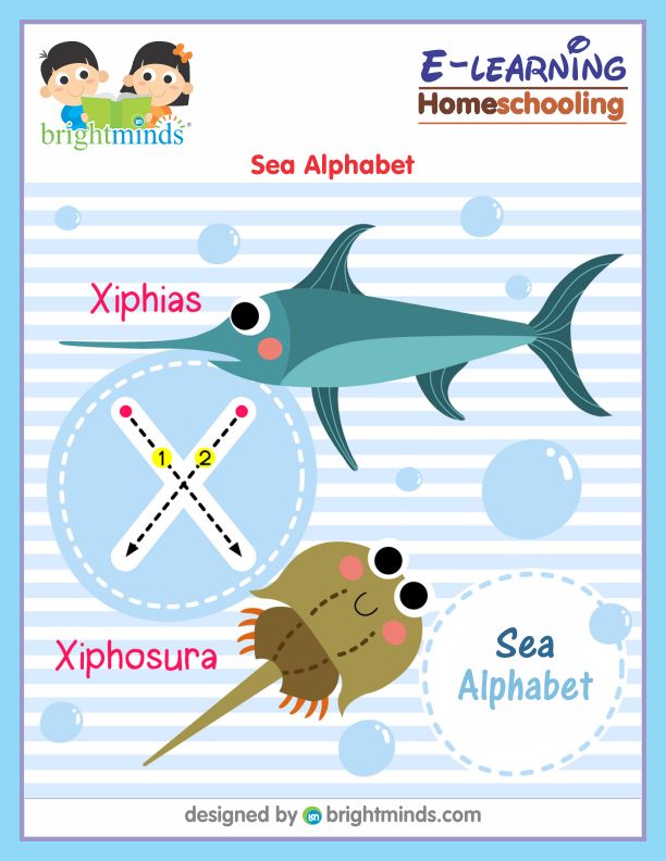 Sea Alphabet