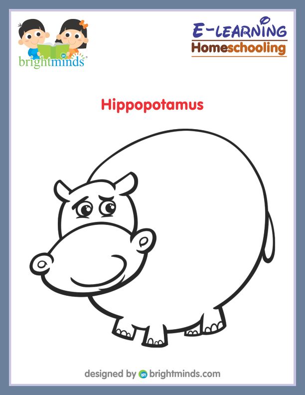 Hippopotamus Coloring Sheet