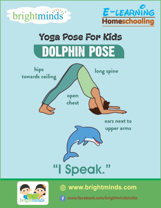Dolphin Pose Yoga