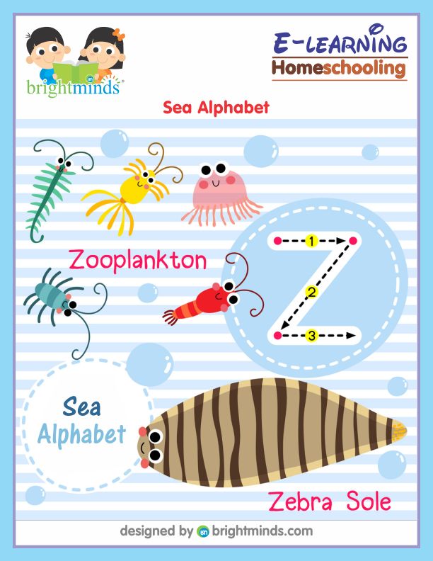 Sea Alphabet
