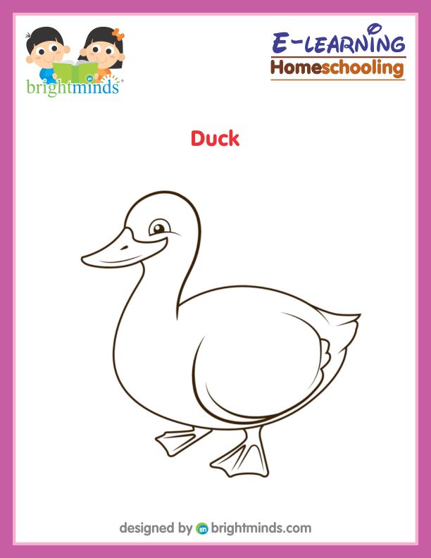 Duck Coloring Sheet