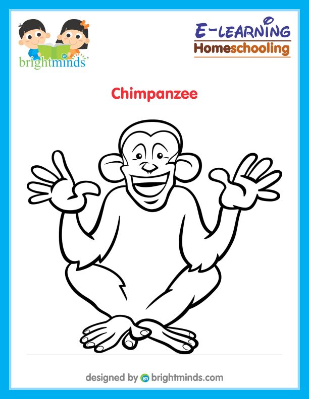 Chimpanzee Coloring Sheet