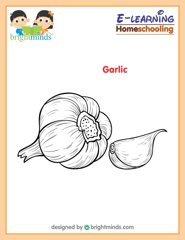 Garlic Coloring Sheet