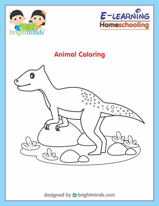 Animal Coloring