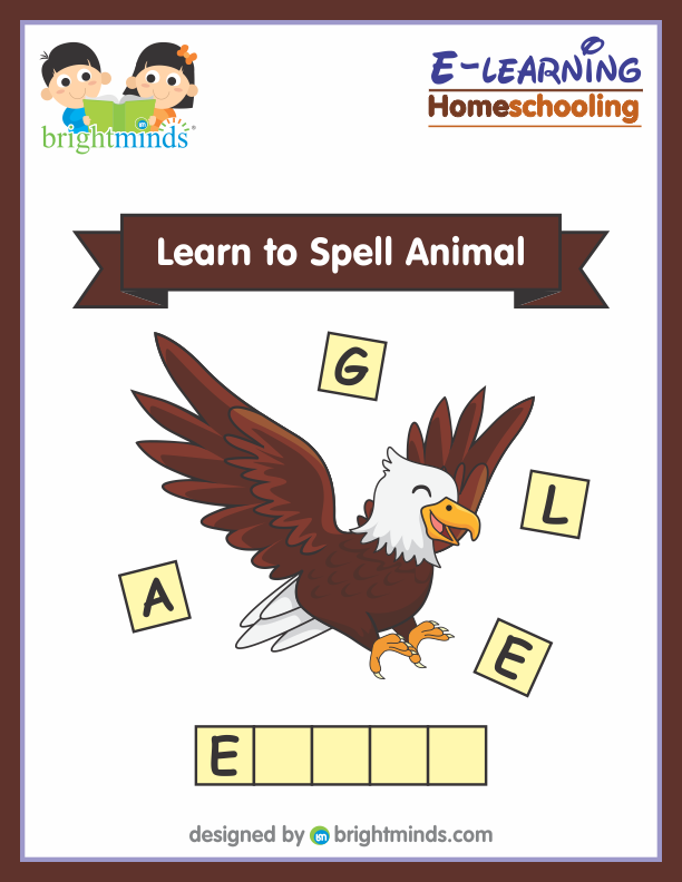 Learn to Spell Animal