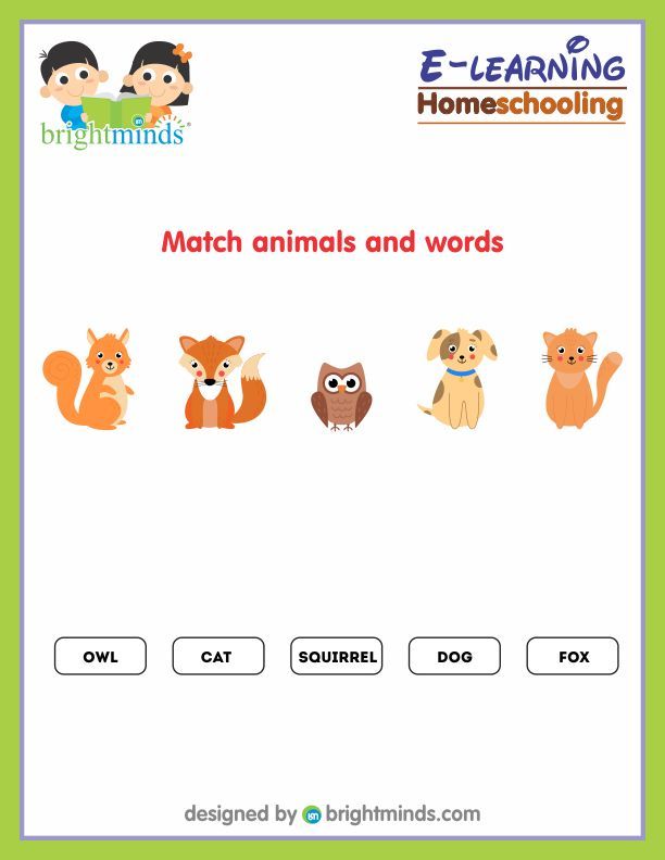 Match animals and words