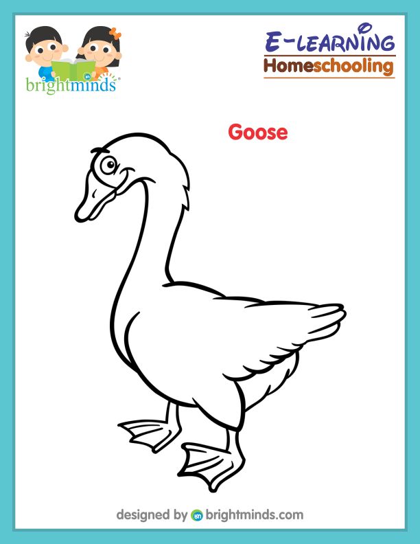 Goose Coloring Sheet