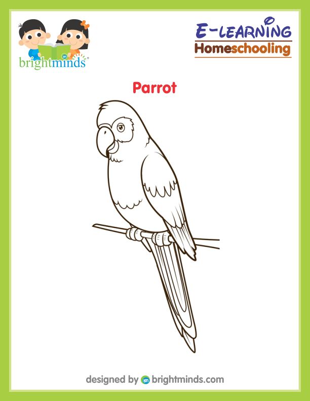 Parrot Coloring Sheet