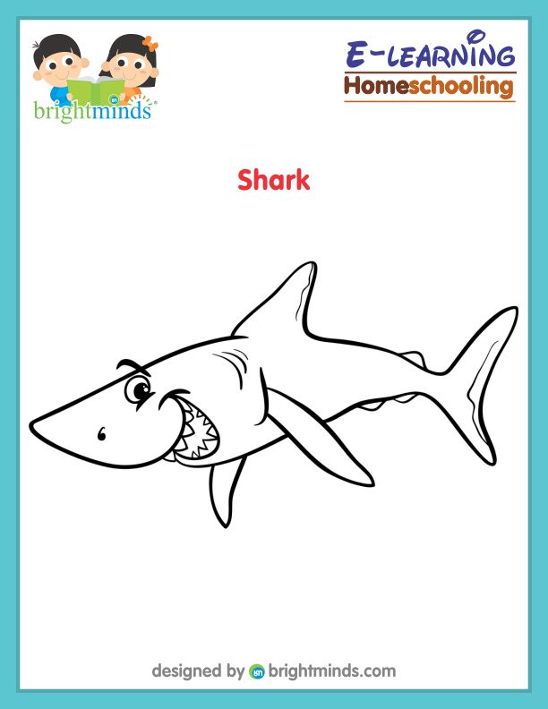 Shark Coloring Sheet