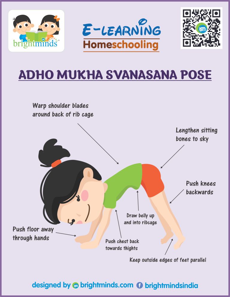 Adho Mukha Svanasana Yoga Pose