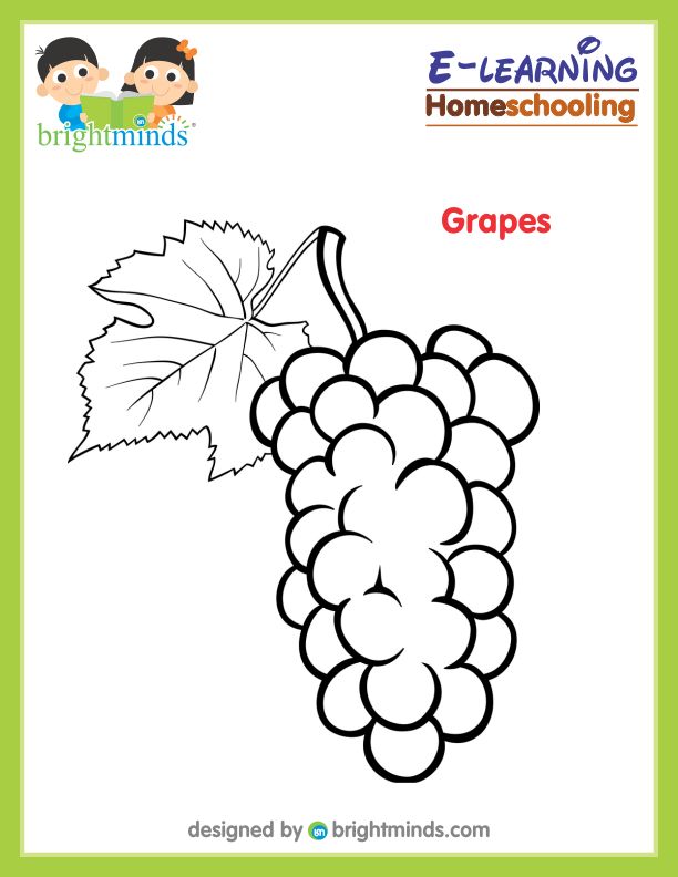 Grapes Coloring Sheets