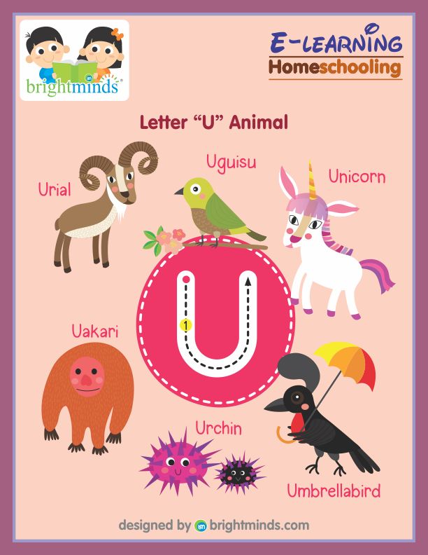 Letter U Animal : Bright Minds eLearning Platform