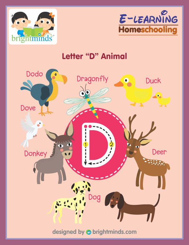 Letter D Animal