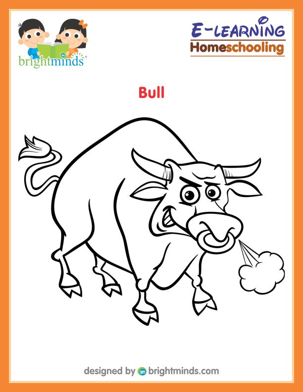 Bull Coloring Sheet
