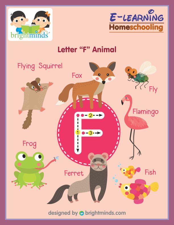 Letter F Animal