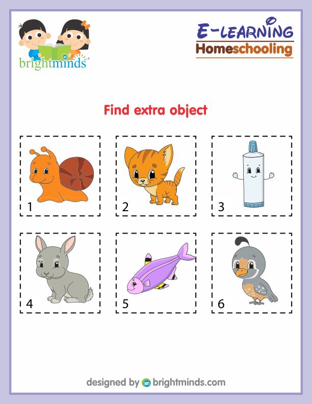Find Extra Object