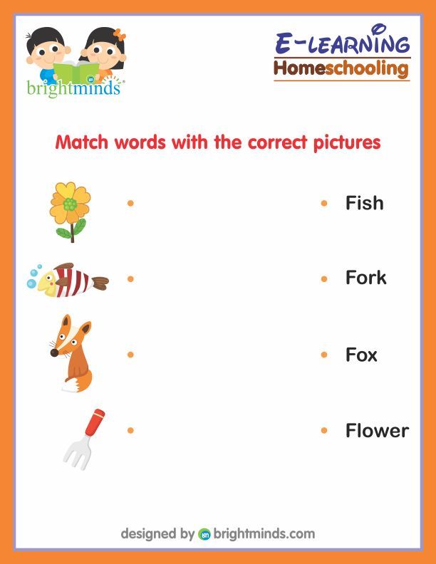 Match words with the correct pictures