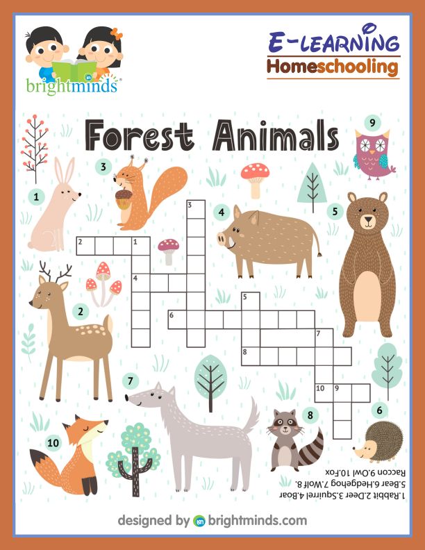 Forest Animal Crossword