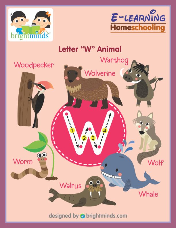 Letter W Animal