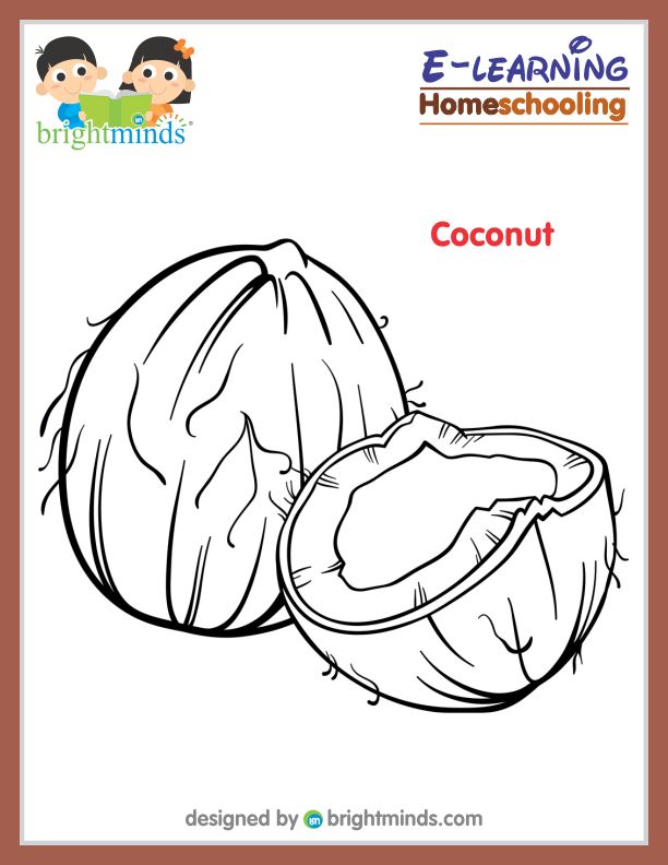Coconut Coloring Sheet