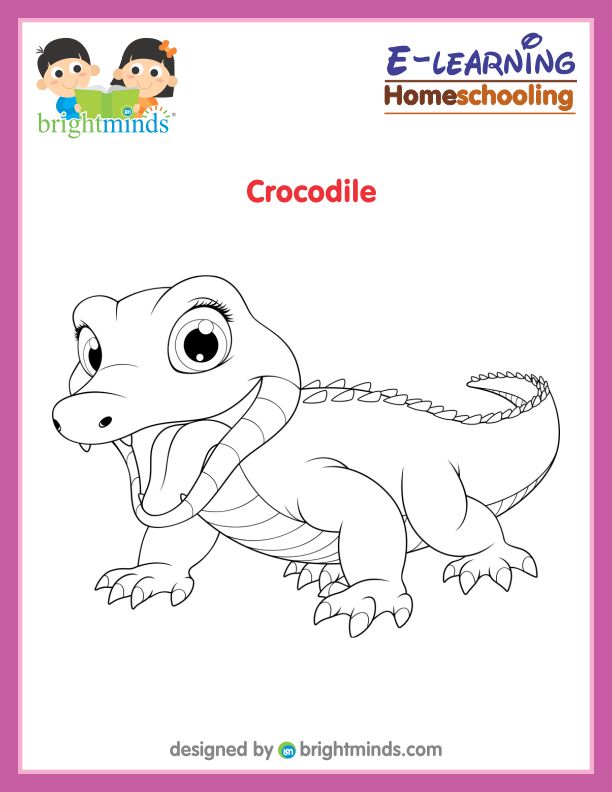 Crocodile Coloring Sheet
