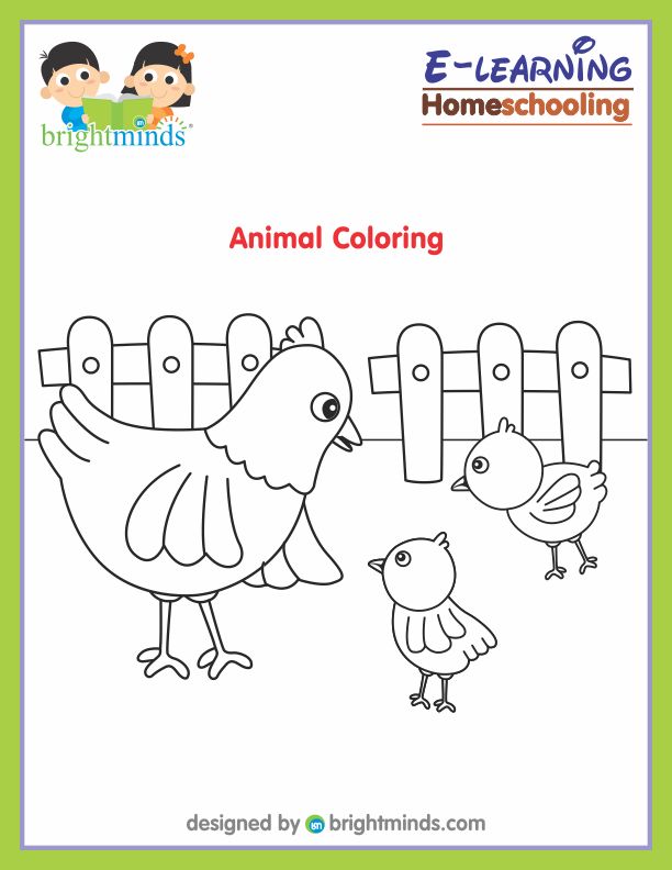 Animal Coloring