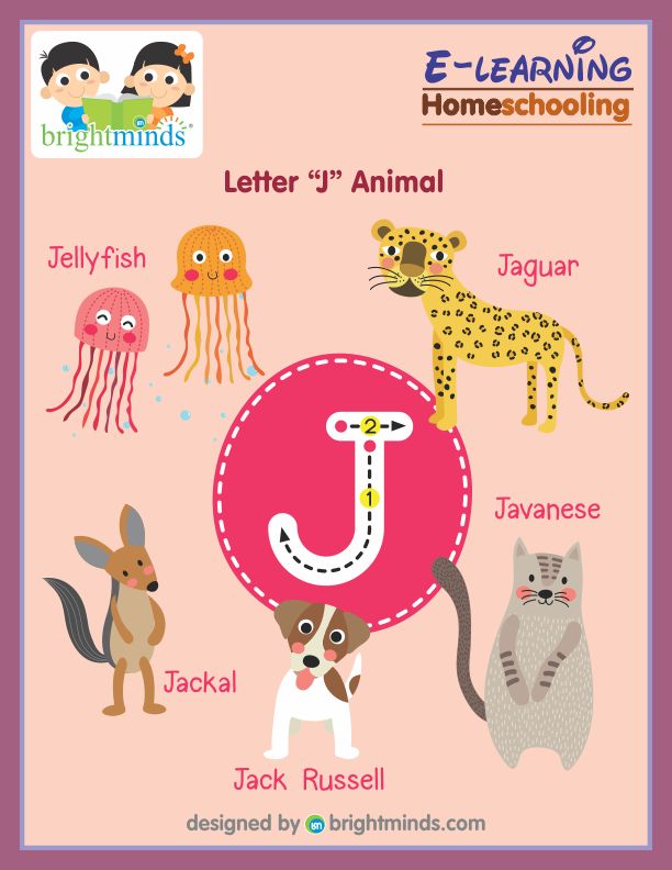 Letter J Animal
