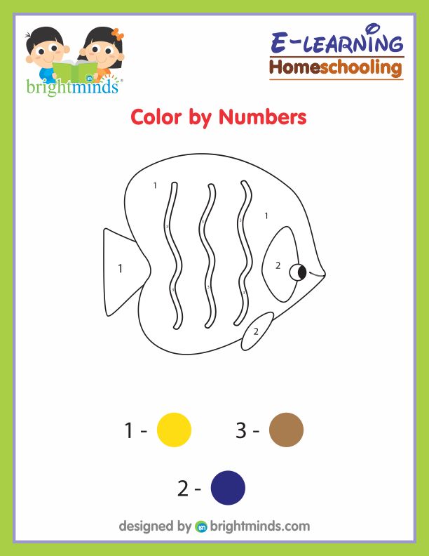 Color by Numbers