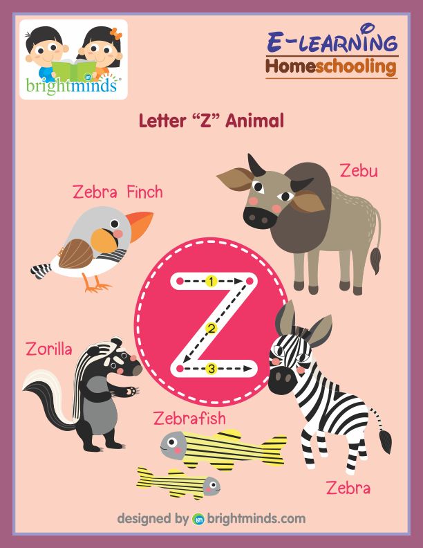 Letter Z Animal